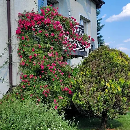Orkana44F Mszana Dolna Exterior photo